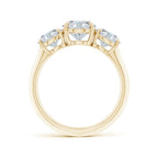 Lab-Grown Oval Diamond Three Stone Knife-Edge Shank Engagement Ring